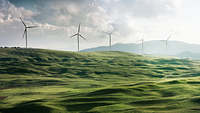 Sustainability