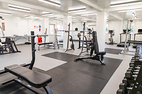 Leisure and Wellbeing